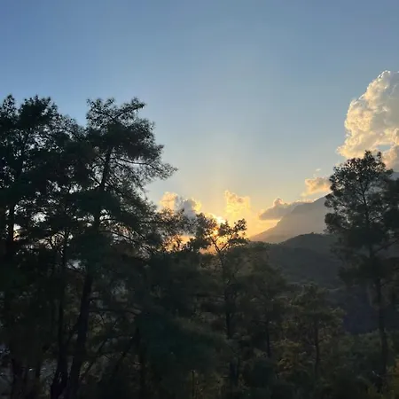 Olympos Ceratonia Dag Evi