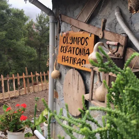 Chalet Olympos Ceratonia Dag Evi Kumluca