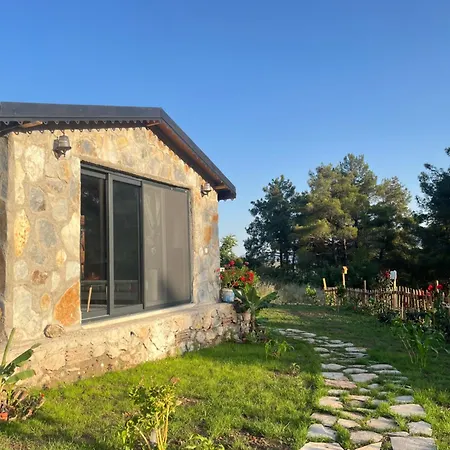 Chalet Olympos Ceratonia Dag Evi *